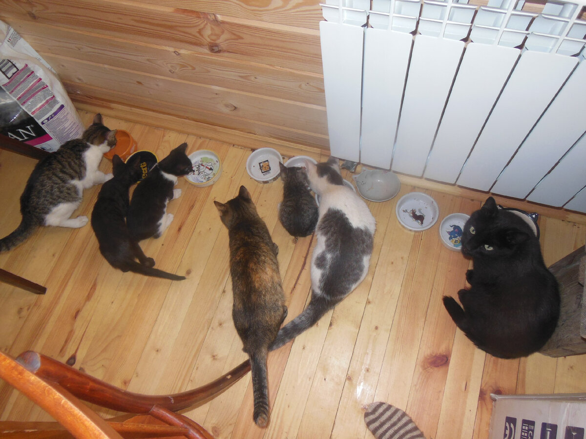 Фуфырик - это самый маленький комочек