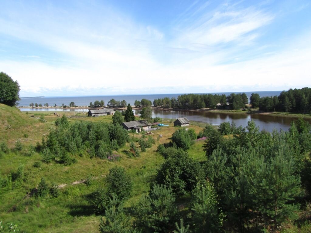 вид на устье реки со стороны деревни, лето / фото с форума На севере