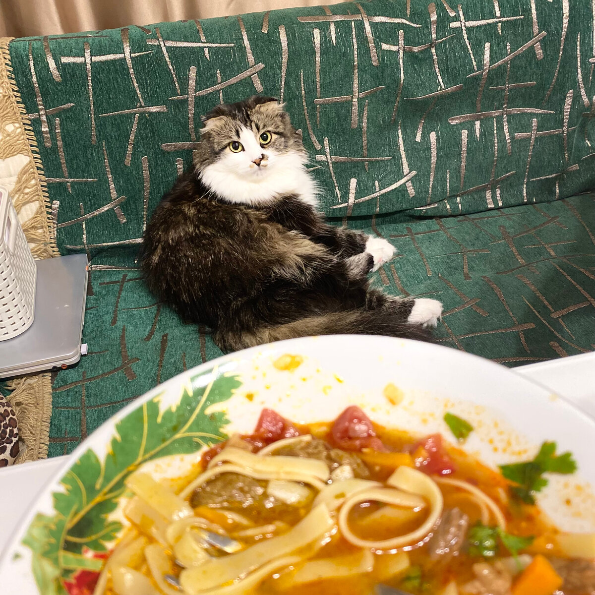 В былые времена тарелка с едой так просто бы не стояла...