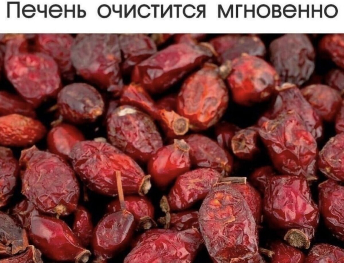 Очищeние пeчени плодами шиповника