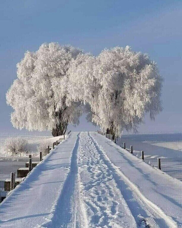 Фото из интернета. Просто красиво!