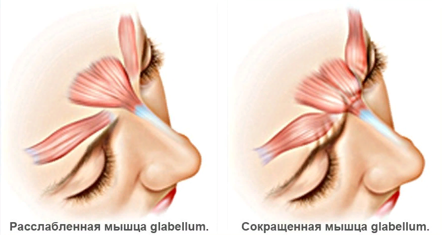 planet - свободный доступ