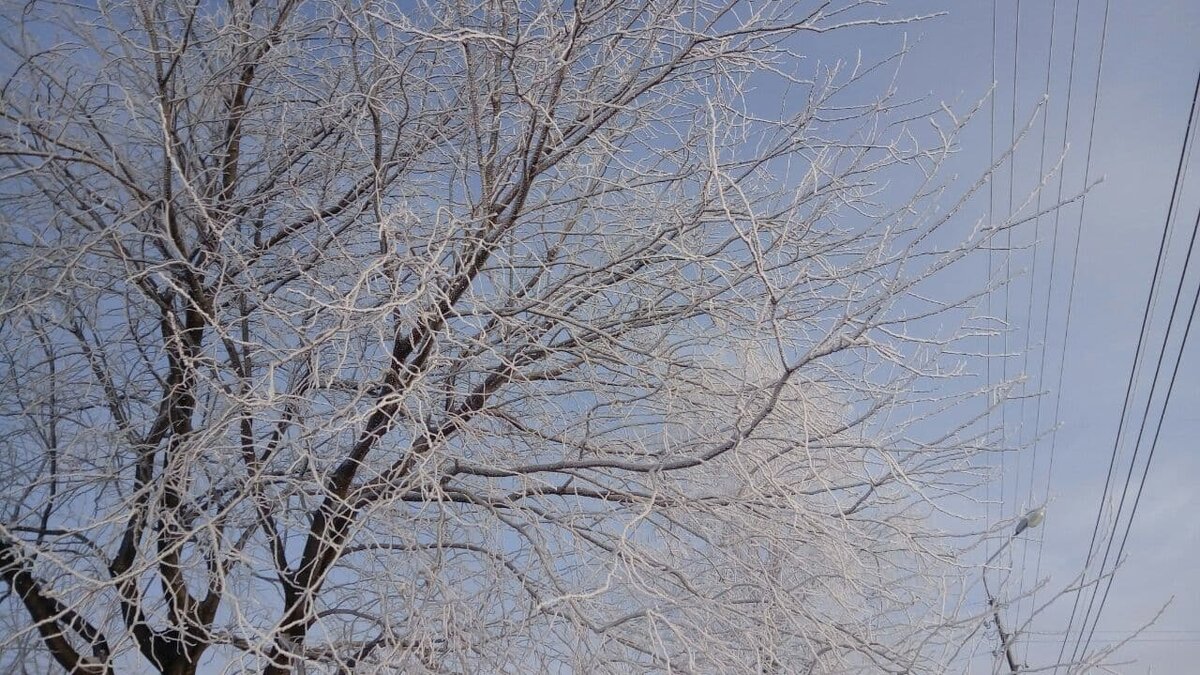 Фото автора.