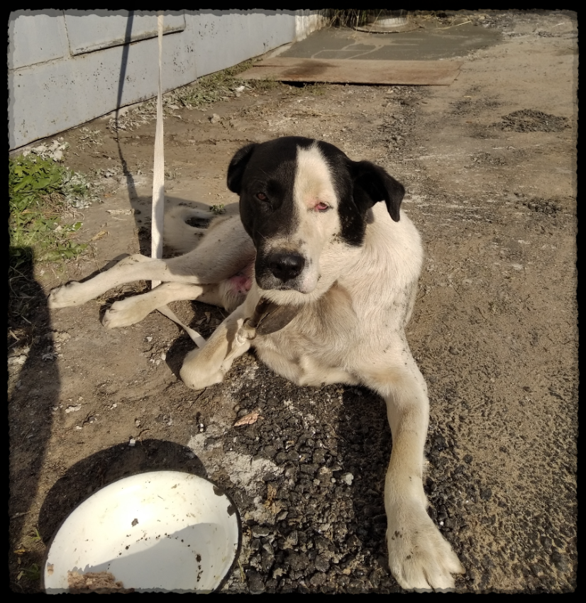 Таким меня забирали со стройки