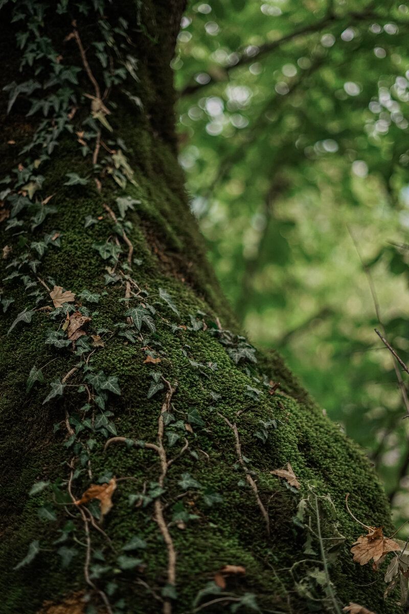 Фото автора Елена Кузичкина: Pexels