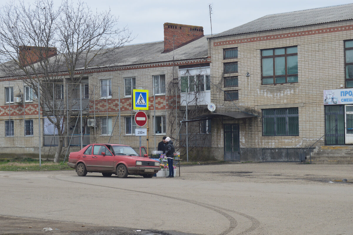 Фото автора. Цветы на улице станицы. Стихийный рынок.