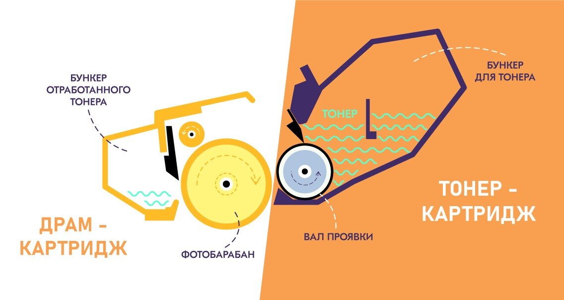 Тонер-картридж и драм-картридж: основные отличия и их роль в принтере