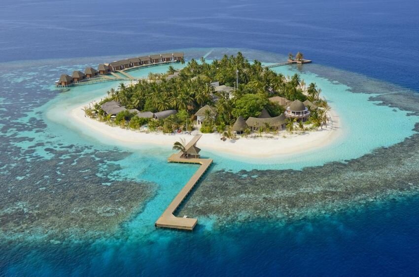 Домашний риф Kandolhu Maldives