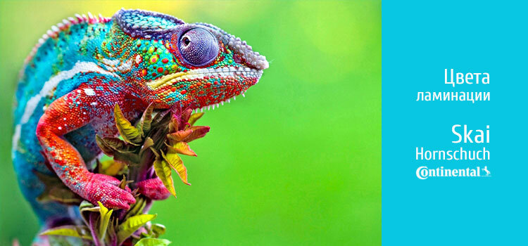 Ламинационные пленки Horhschuch-Continental-Ska 