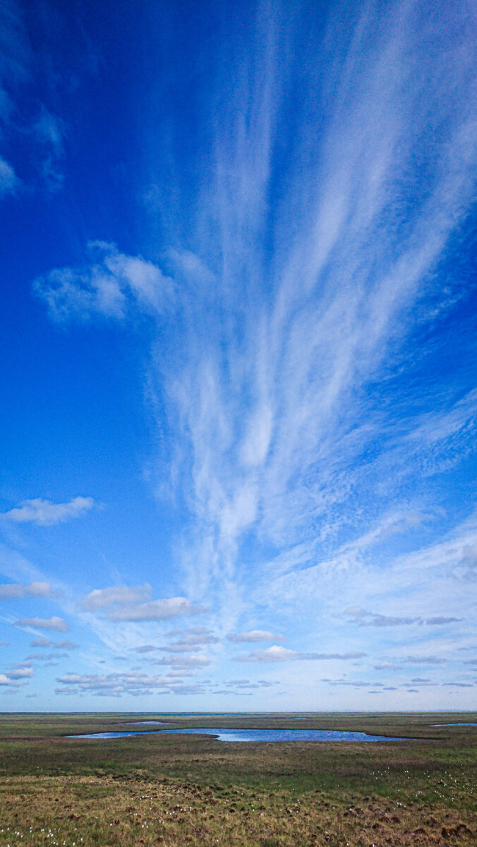 Солнечная, но ветряная тундра