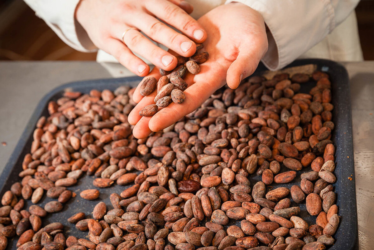 Фото: http://daibob.ru/wp-content/uploads/2022/01/img-0666.jpg