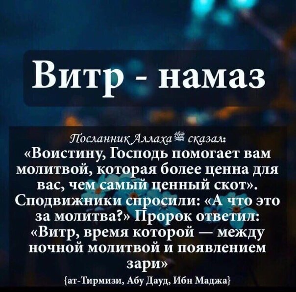 Что такое тахаджуд. Витр намаз Сура. Витру намаз порядок. Время витру намаза. Тахаджуд намаз и витр намаз.