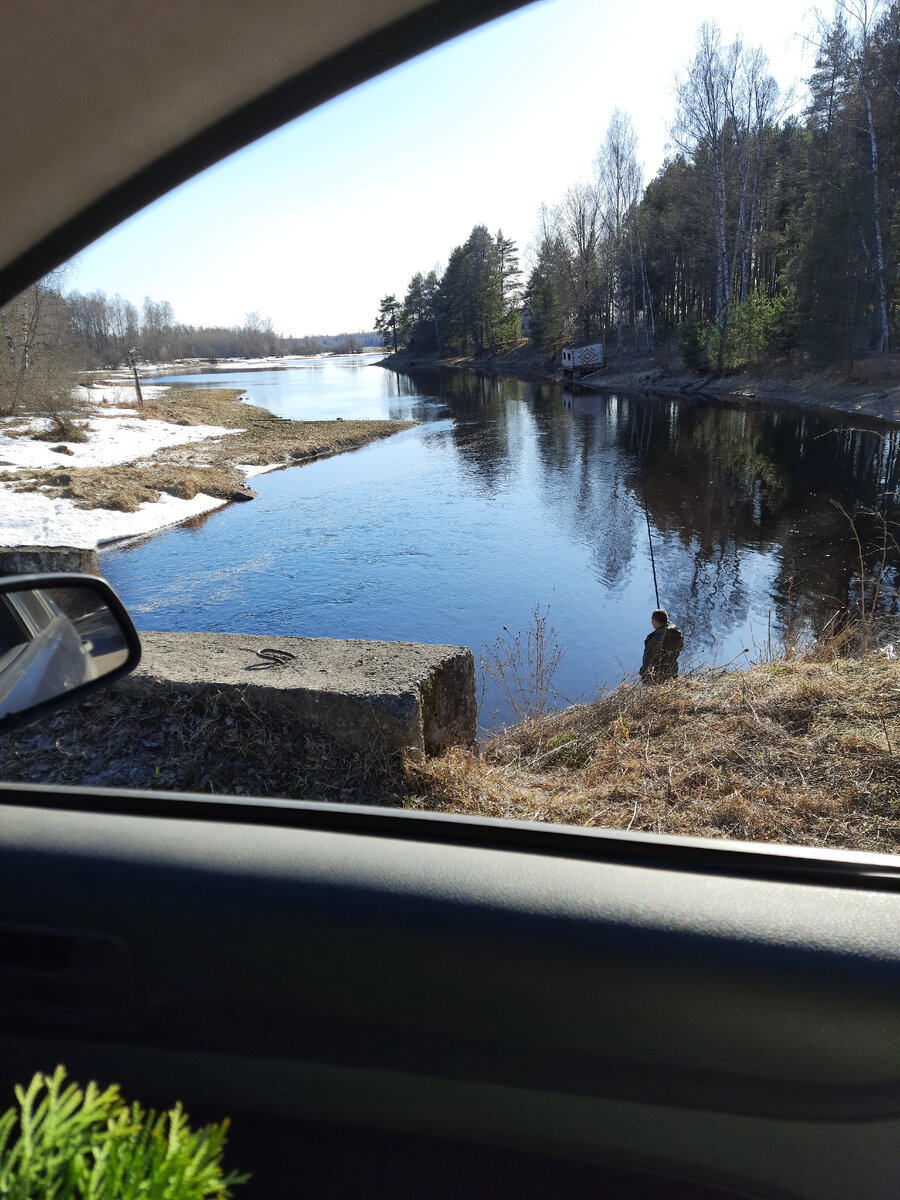 Конец апреля. В водоёмах Рыбинского района щука начала нереститься,не клюёт совсем.Вчера блеснил и джиговал полдня,результат ноль.Зато поплавочники в ручьях активно ловят некрупную плотву. В Шексне на фидер клюёт довольно крупная плотва 300-500гр.