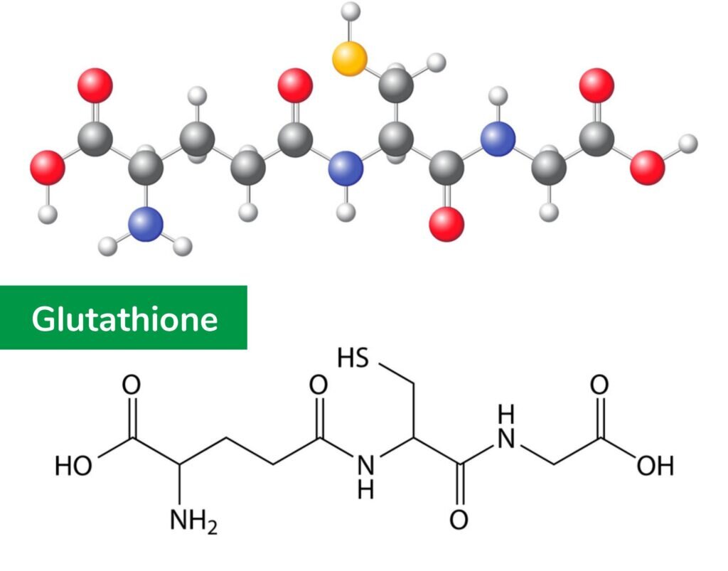 Глутатион капельницы для чего. Глутатион химическое строение. Глутатион структурная формула. Глутатион формула биохимия. Глутатион формула пептида.