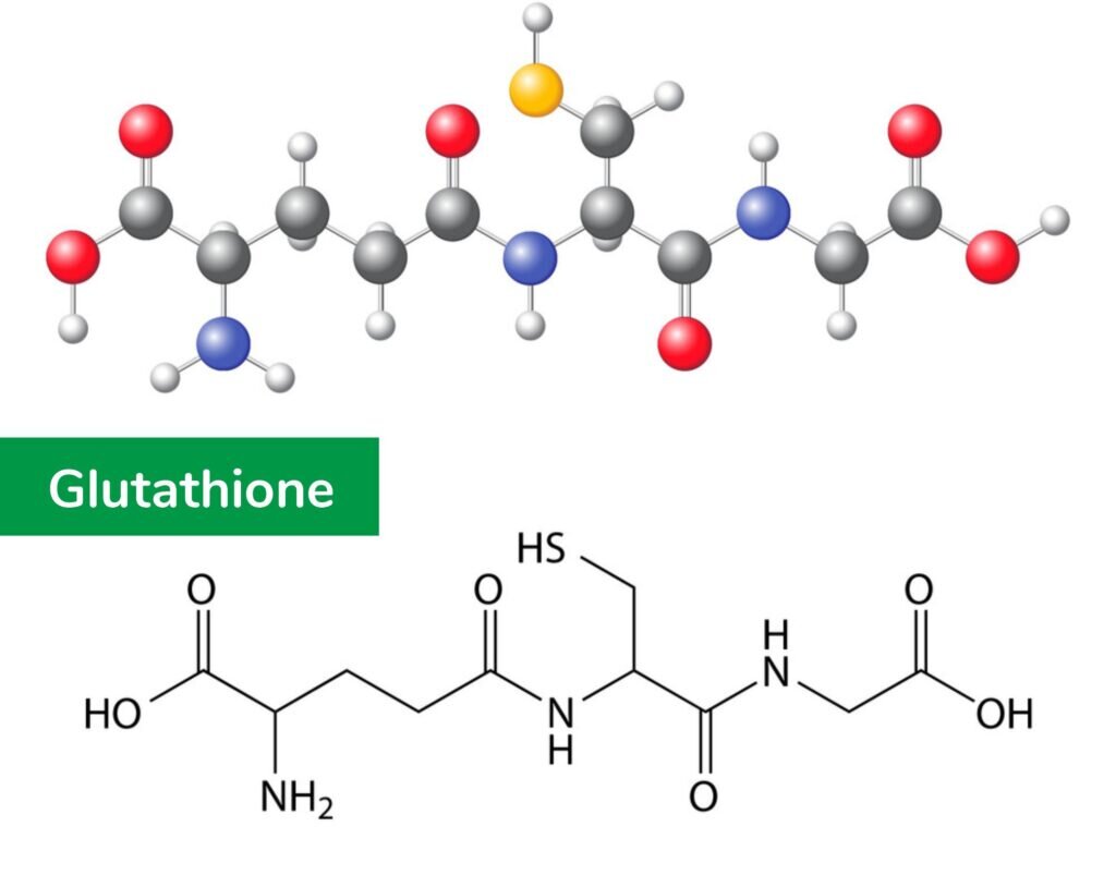 Глутатион что это. Глутатион химическое строение. Глутатион структурная формула. Глутатион формула биохимия. Глутатион формула пептида.