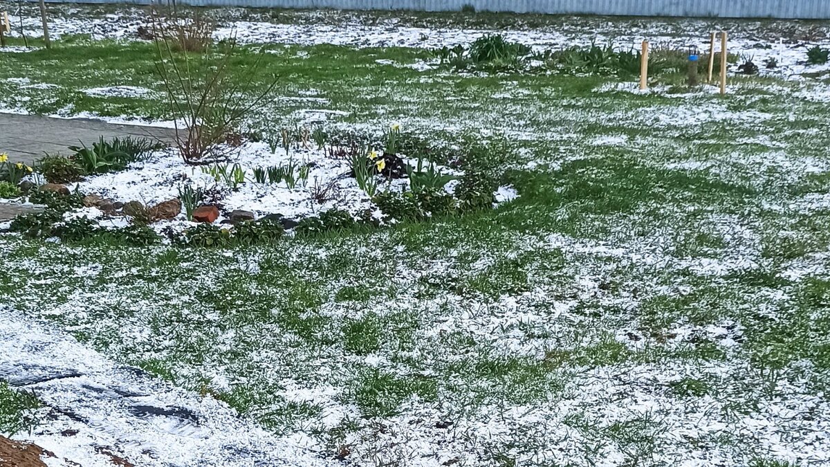 Ставьте 👍👍👍 и подписывайтесь на канал!!!