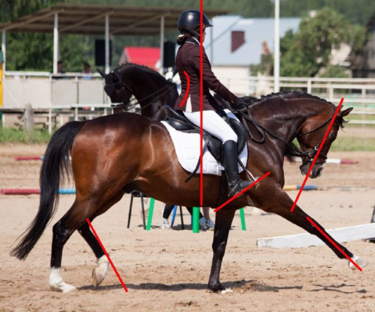 Типичные ошибки всадника