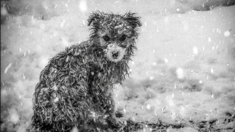 источник фото: avatars.mds.yandex.net