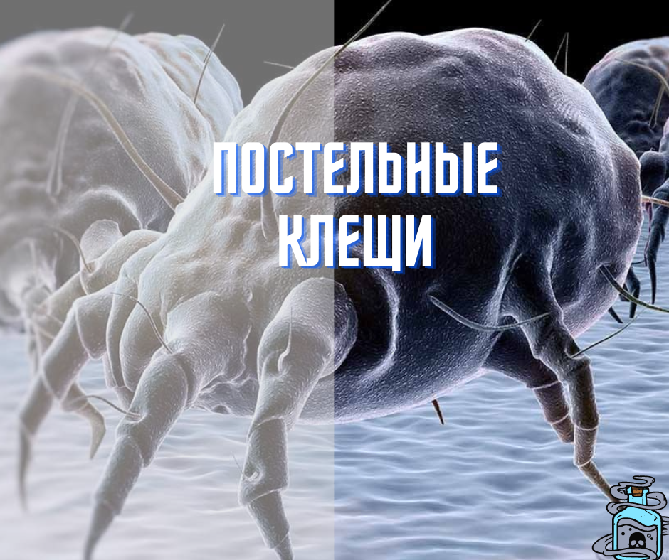 Клещи монстры