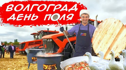 ТРИ КОРОННЫХ БЛЮДА АЛИШЕРА | ДЕНЬ ПОЛЯ В ВОЛГОГРАДЕ