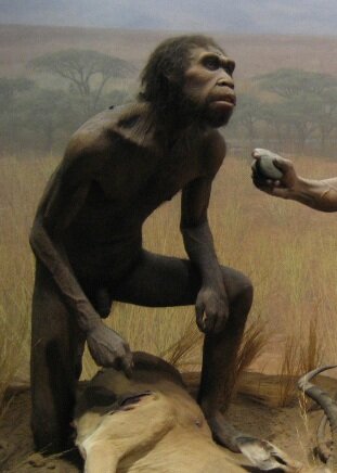Причины, по которым Кроманьонцы оказались умнее Неандертальцев. Ответ в  том, кем были их предки. | Байки Щукаря | Дзен