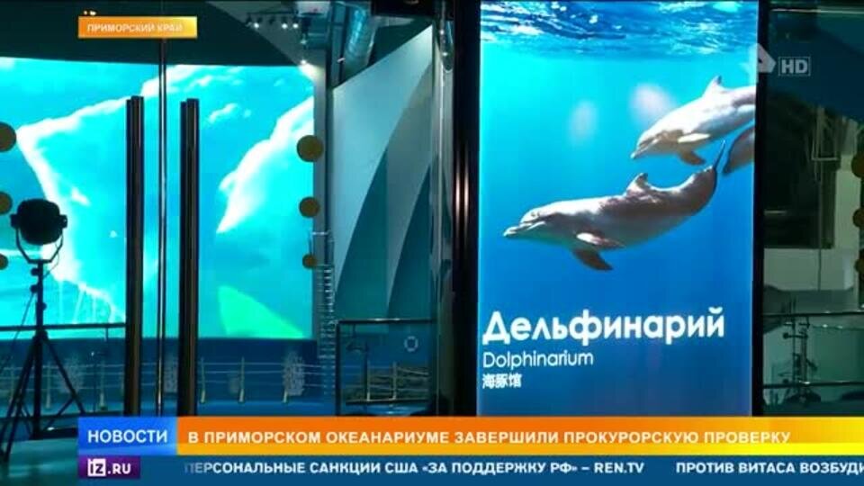    Приморский океанариум стал "кладбищем" для 200 животных