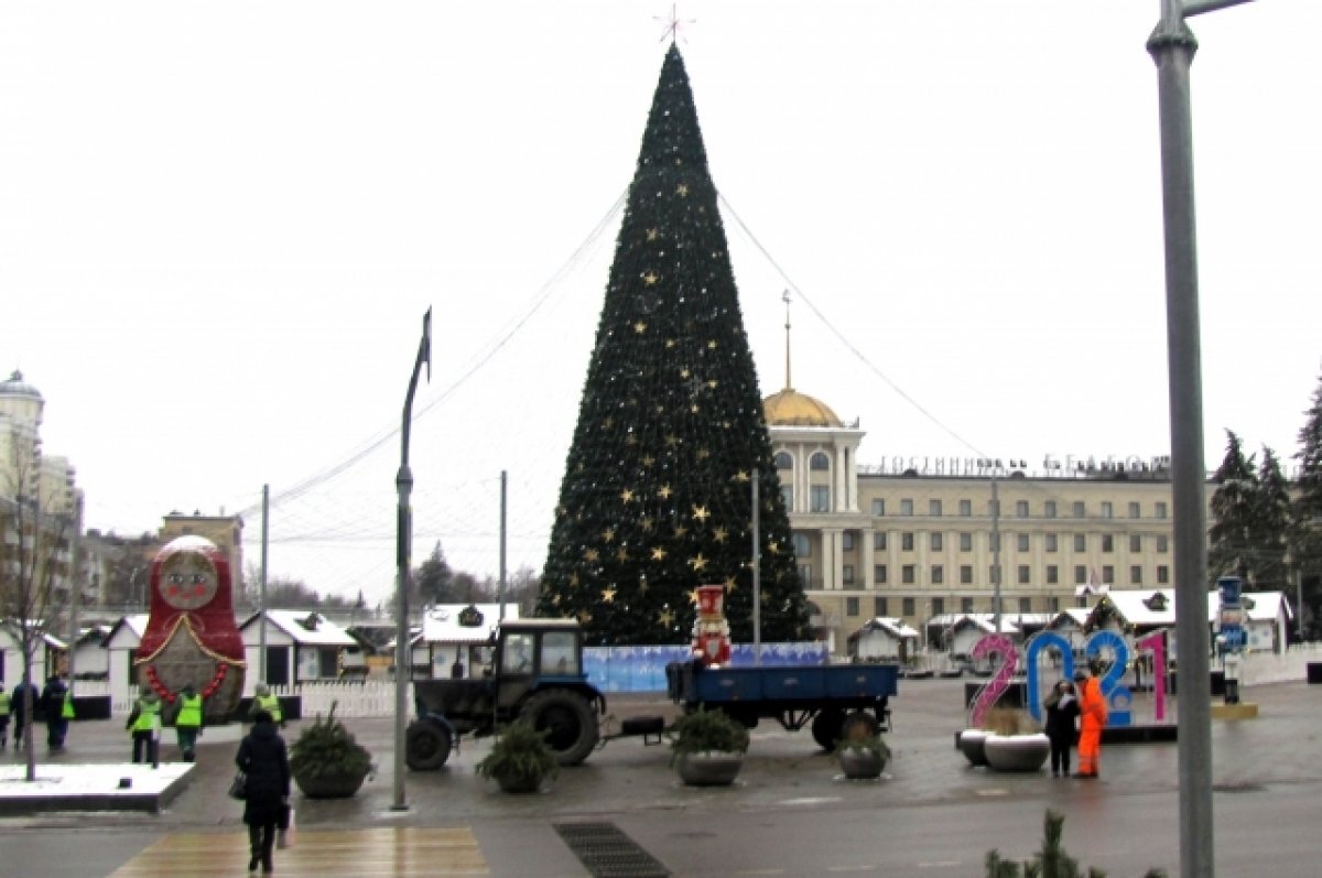    В Коврове до 1 декабря установят 46 новогодних елок