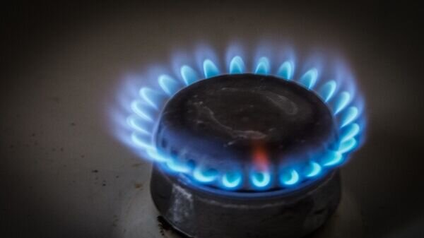   © photo: Sputnik / Stringer