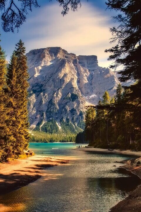 Яндекс.Картинки