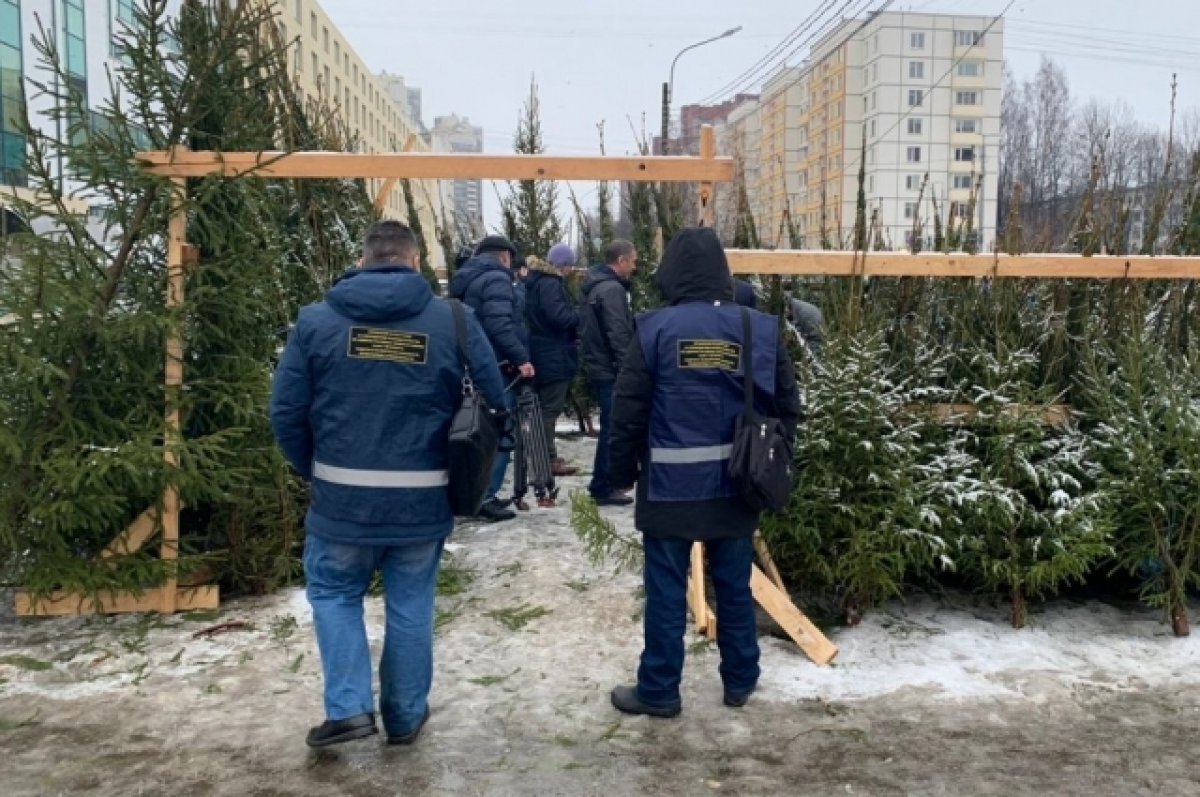    Во время рейда по елочным базарам Петербурга выявили нелегальных продавцов