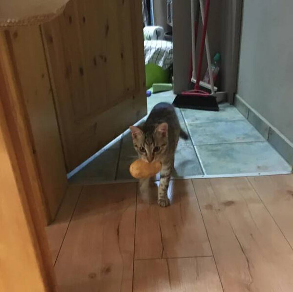 Фото © Reddit / SithLady