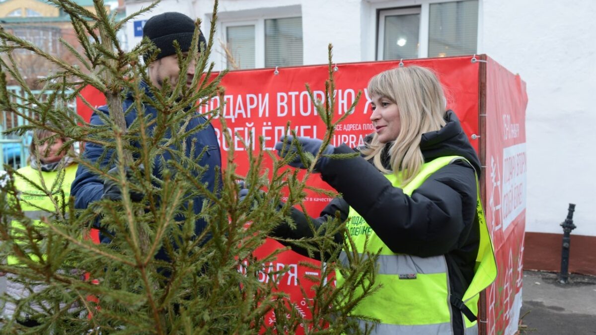 kolomnagrad.ru📷
