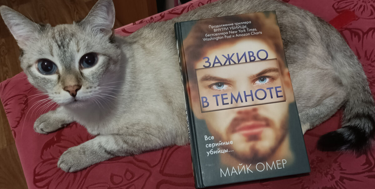 Сегодня читаемую книгу представляет Дженька.