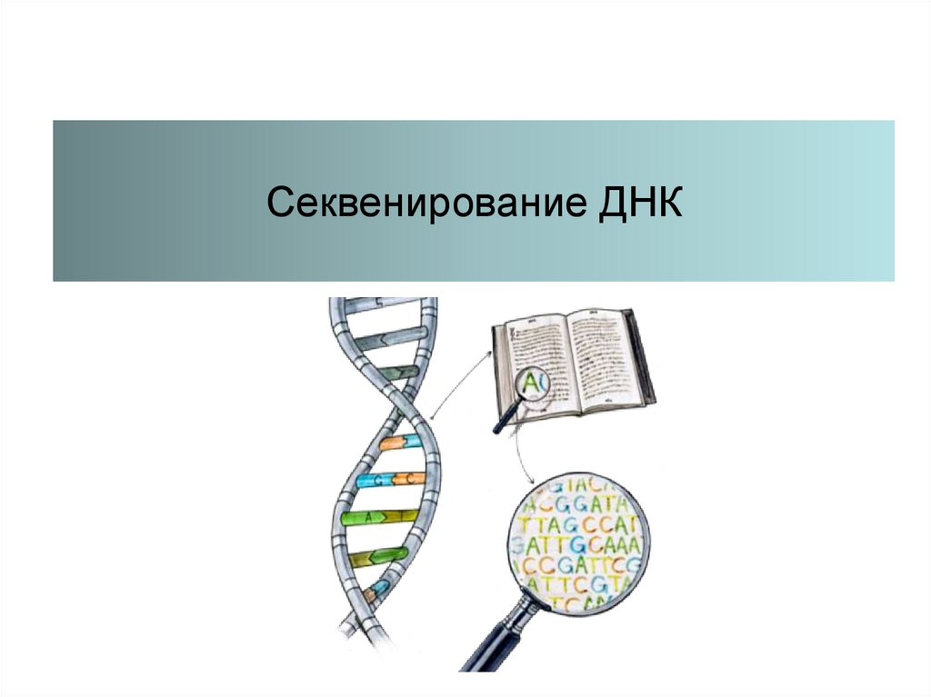 Полное секвенирование. Секвенирования ДНК. Секвенирование ДНК метод. Метод секвенирования генов. Секвенирование метод в биологии.