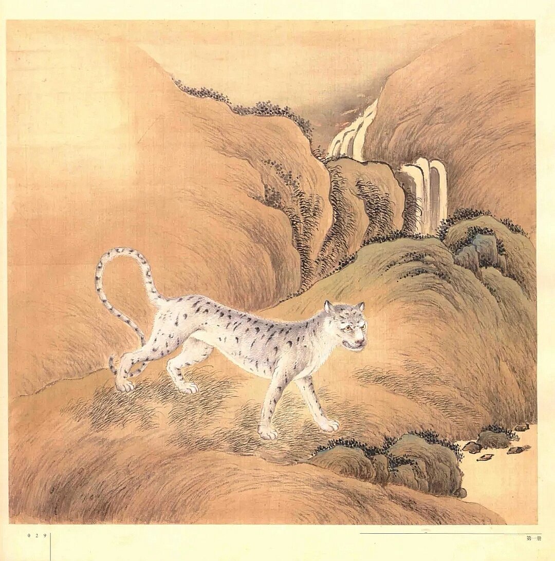 Цзоуюй (騶虞). Белый тигр, не питающийся ничем живущим, символ гуманности и доброты 