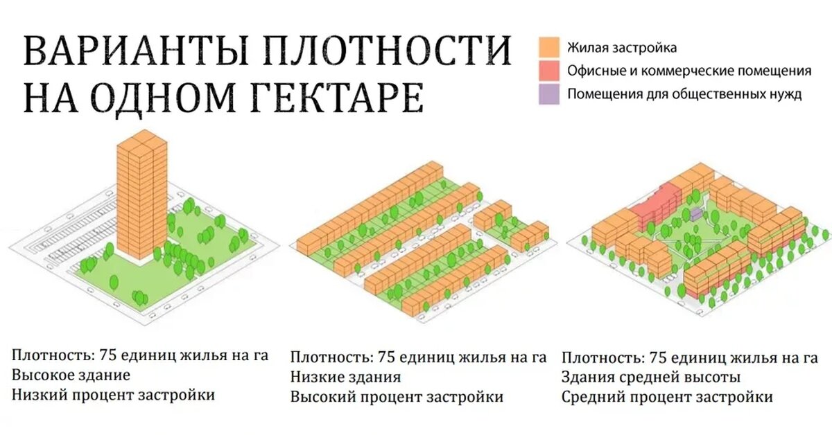 Варианты плотности на одном гектаре