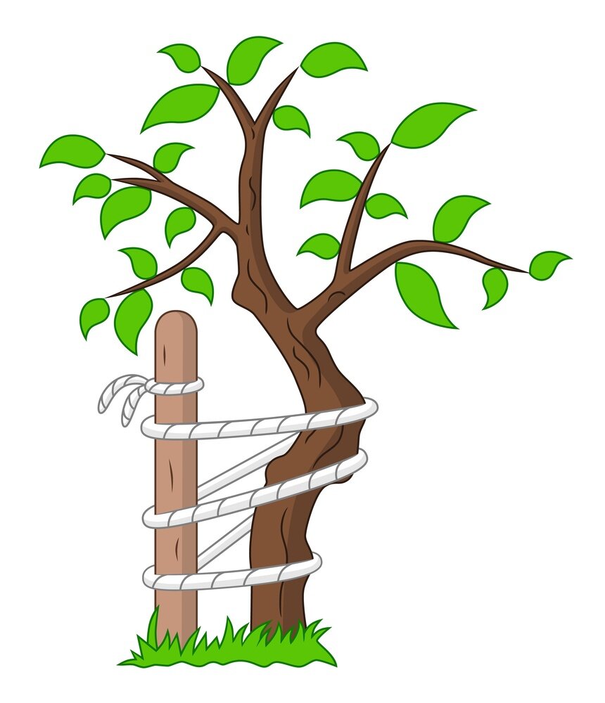 Эмблема травматологии дерево
