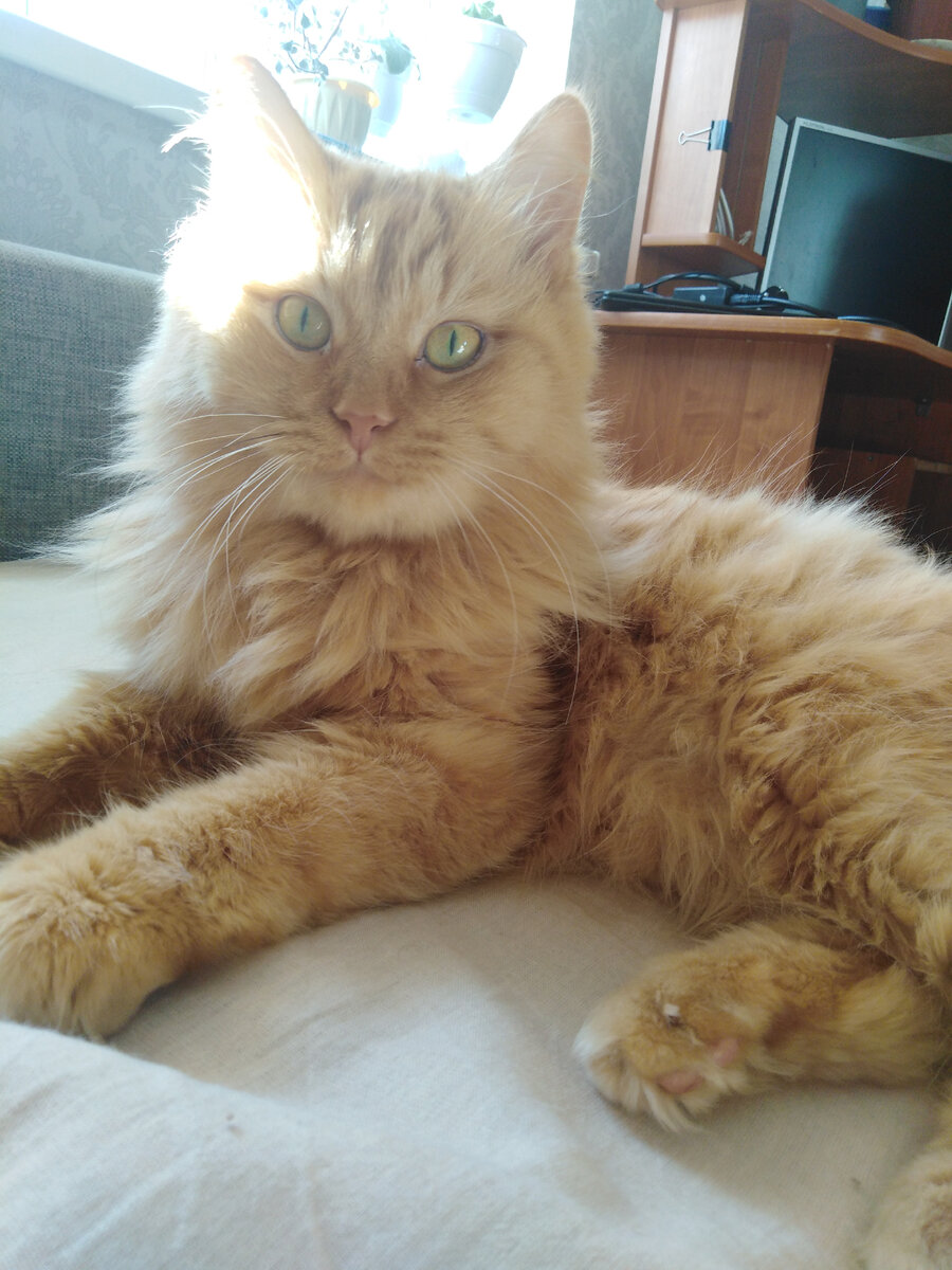 Григорий, поставщик деликатесов