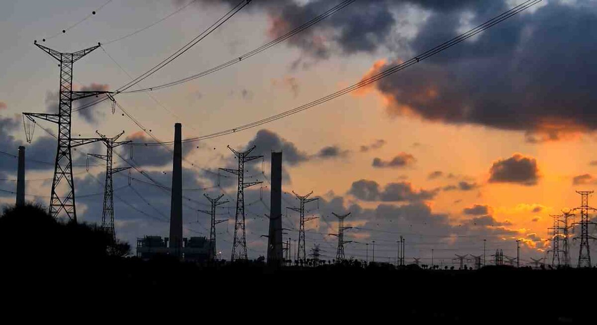 картинка автора