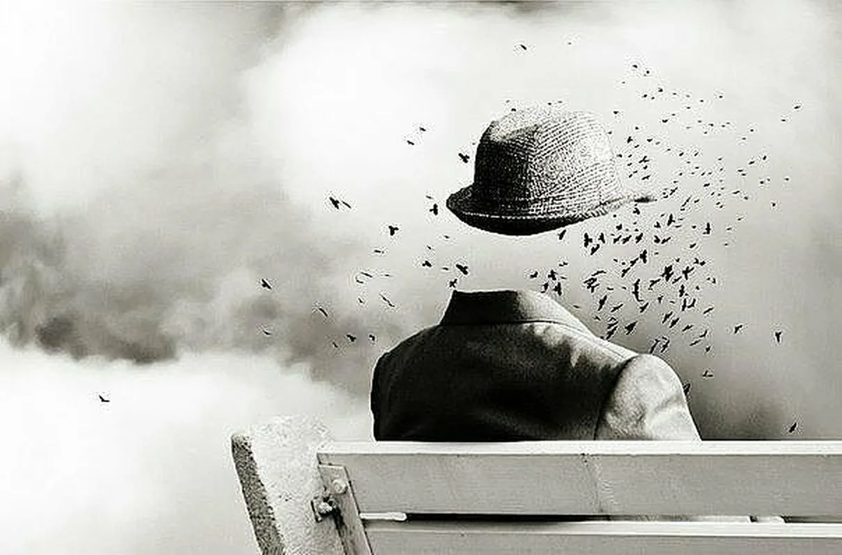 из открытых источников