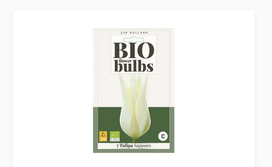 Это фото я увидела на маленьком экране телефона. Ну, белый же тюльпан!