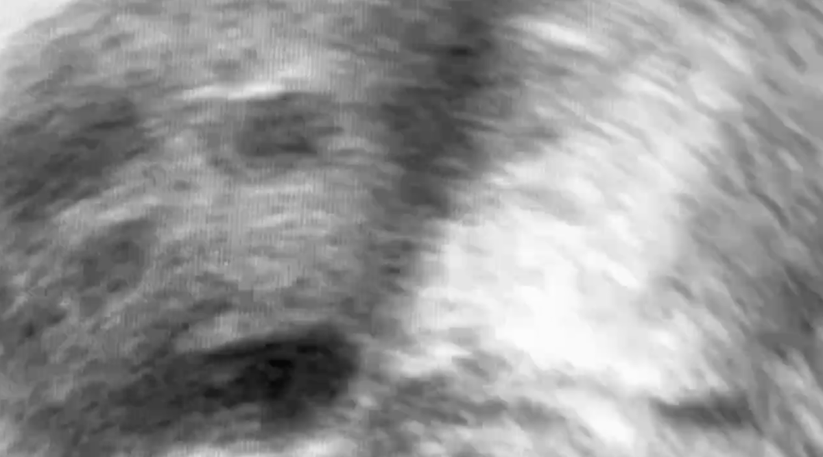 https://infertility.su/news/detail.php?ID=34045