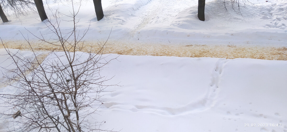 Фотография автора