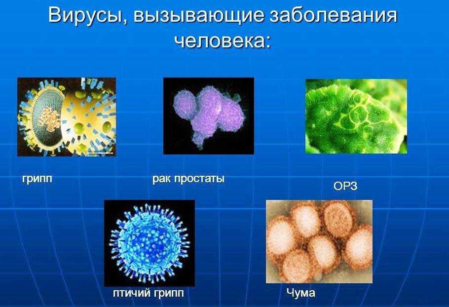 Вирусы названия 5 класс. Вирусные заболевания. Виды вирусов. Виды вирусов человека. Вирусы названия.