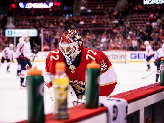     Сергей Бобровский / Global Look Press