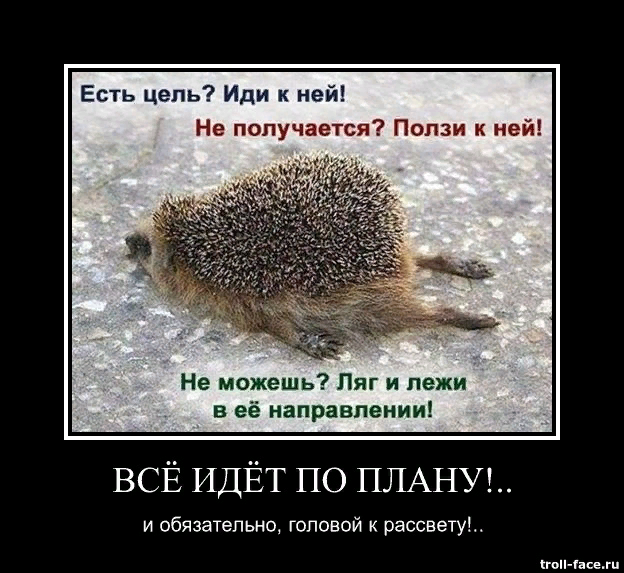 Из просторов интернета


