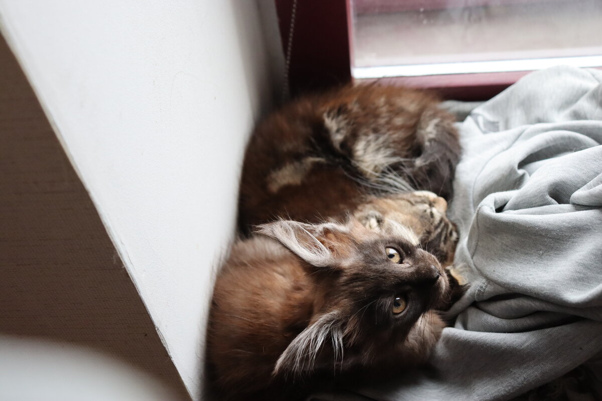 Фото из личного архива.