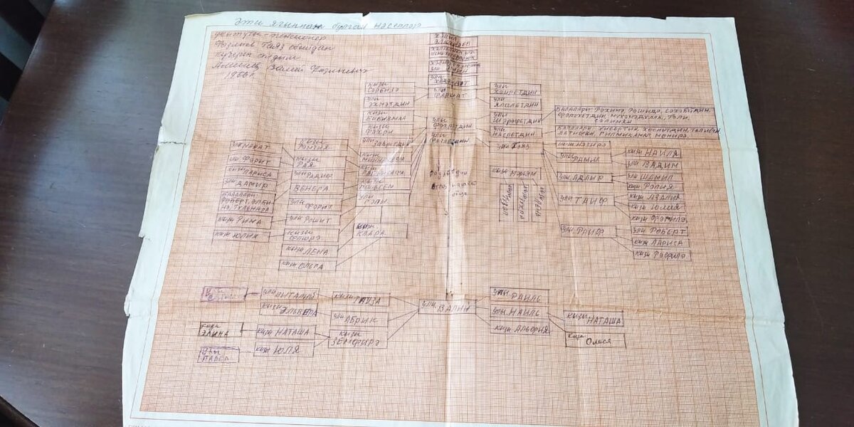 Родословная на миллиметровке по ветке папы.  Жемчужина моего архива, потому что составлена и подписана рукой и почерком моего деда. 