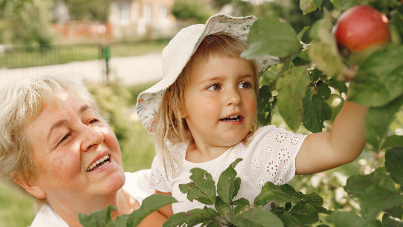     Сад. freepik.com/prostooleh