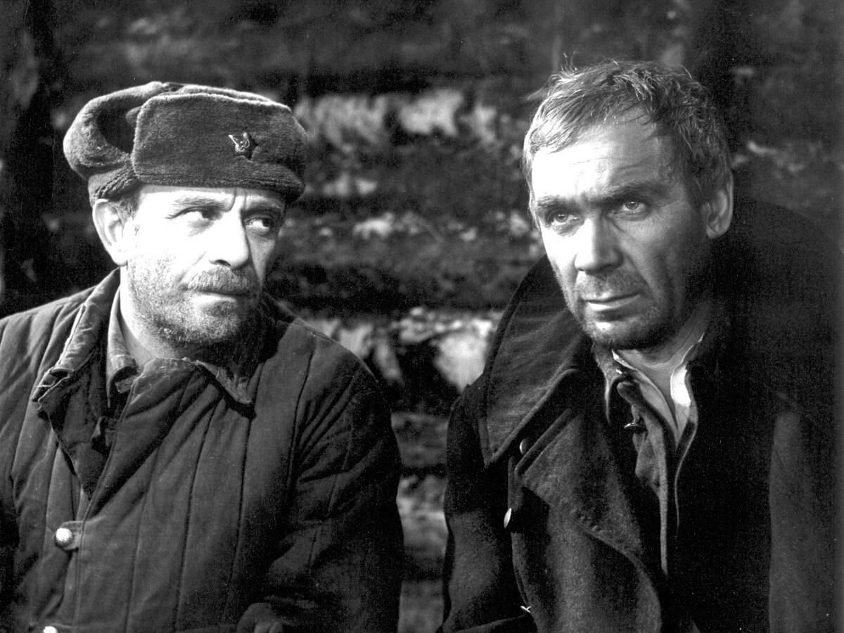 «Проверка на дорогах»